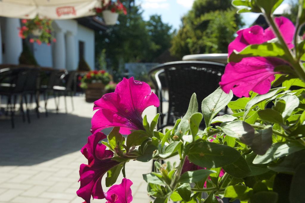 Hotel Wenus Kazimierz Dolny Ngoại thất bức ảnh